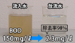 流入水と放流水の写真　BODが150mg/ℓから2.3mg/ℓ　除去率98%になる
