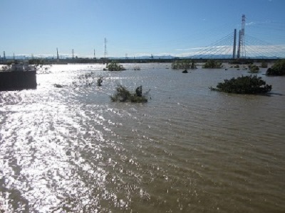 令和元年東日本台風（19号）10/13朝　荒川に水があふれている写真